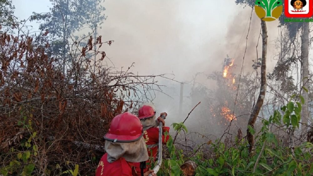 Revisi Aturan Bakar Lahan Didukung Anggaran Teknologi