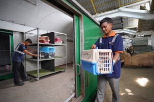 Tren Pet Hotel dan Pengiriman Hewan Peliharaan Naik