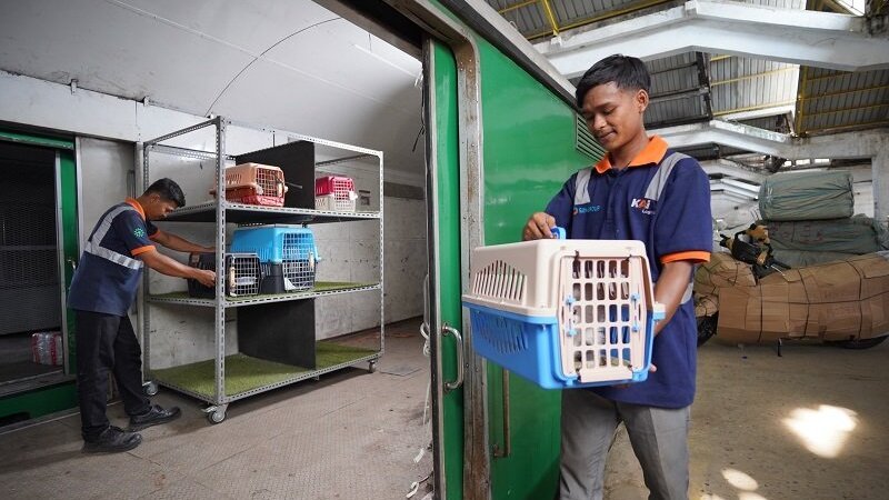 Tren Pet Hotel dan Pengiriman Hewan Peliharaan Naik